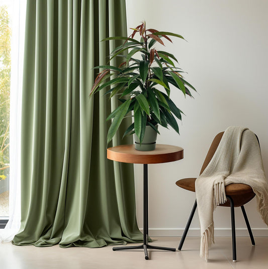 Gummibaum Ficus binnendijkii 'Amstel King' – Zimmerpflanze – Ø17cm – Höhe ca. 75cm – Pflegeleichte Grünpflanze mit glänzenden Blättern – Für Wohn- & Arbeitsräume 