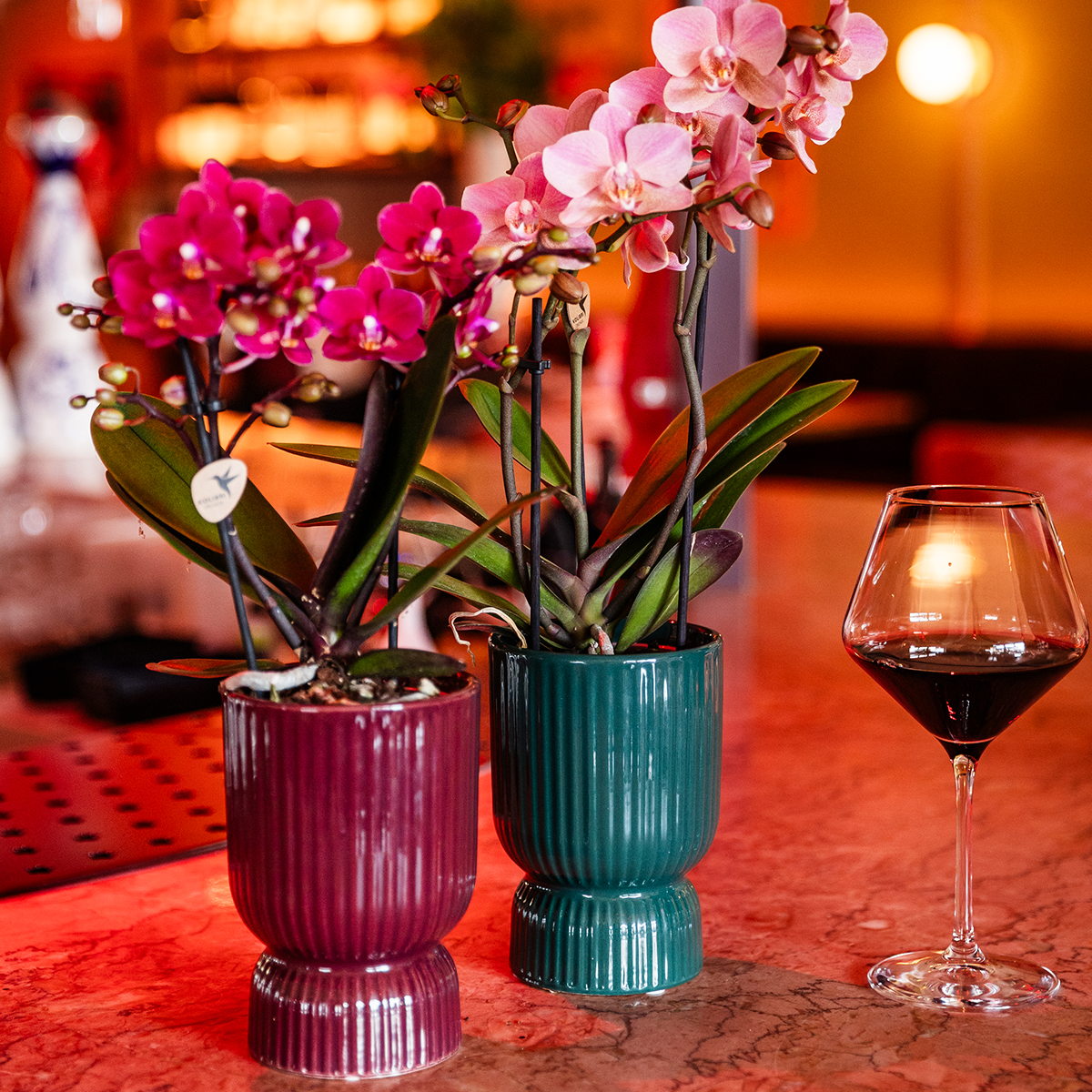 Kolibri Home | Diabolo-Ziertopf | Ø9cm - Burgundy 