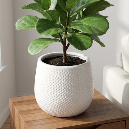 Topf Gabriel Rund Weiß – D14cm – Moderner Keramik Blumentopf – Zeitloser Übertopf für Zimmerpflanzen – Elegant & vielseitig für Wohnraum Balkon & Büro