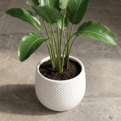 Topf Gabriel Rund Weiß – D14cm – Moderner Keramik Blumentopf – Zeitloser Übertopf für Zimmerpflanzen – Elegant & vielseitig für Wohnraum Balkon & Büro