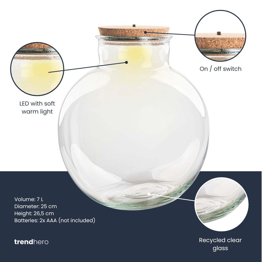 Terrariumflasche Teddy mit LED-Beleuchtung – Ø25cm Höhe 26,5cm – Kugelförmiges Glasgefäß aus Recyclingglas – Flaschengarten & Deko mit Korken 