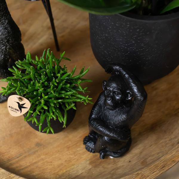 Ornament - Deko-Skulptur Sitzender Affe - Schwarz - Oasis of Life