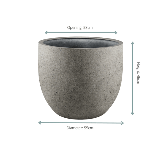Pflanztopf Grigio New Egg – Natürlicher Beton – D55cm x H46cm – Großer Blumentopf in Betonoptik – Für Innen & überdachte Außenbereiche 