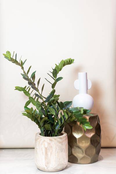 Kunstpflanze - Zamioculcas - Zimmerpalme - 110 cm 