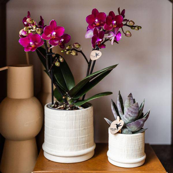 Bali Blumentopf Off White Ø9cm – Dekorativer Keramiktopf mit Rillenstruktur – Moderner Pflanzentopf im minimalistischen Design – Stilvolle Blumendeko für Wohnzimmer, Küche & Büro 