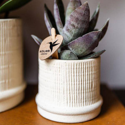 Bali Dekotopf - Off White - Ø6cm 