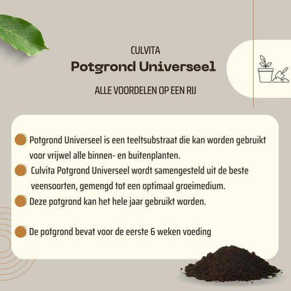 Universal Blumenerde - inkl. 2 Monate Pflanzennahrung - Universal Blumenerde für Pflanzen im Innen- und Außenbereich - 40 Liter