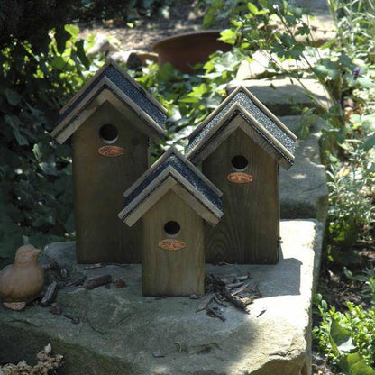 Vogelhaus Blaumeise - Nistkasten - Bitumendach - Oasis of Life