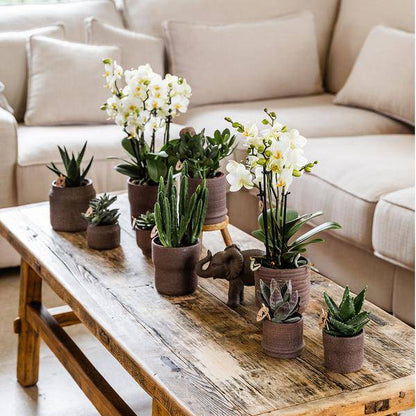 Bali Dekotopf - Braun - Ø6cm 