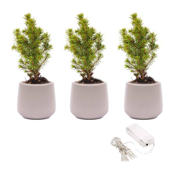 Mini-Weihnachtsbaum Set 3 - Inklusive 3x Topf Joey grau + 20 led Lichter 
