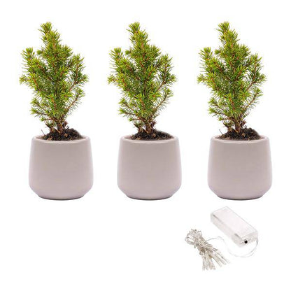 Mini-Weihnachtsbaum Set 3 - Inklusive 3x Topf Joey grau + 20 led Lichter 