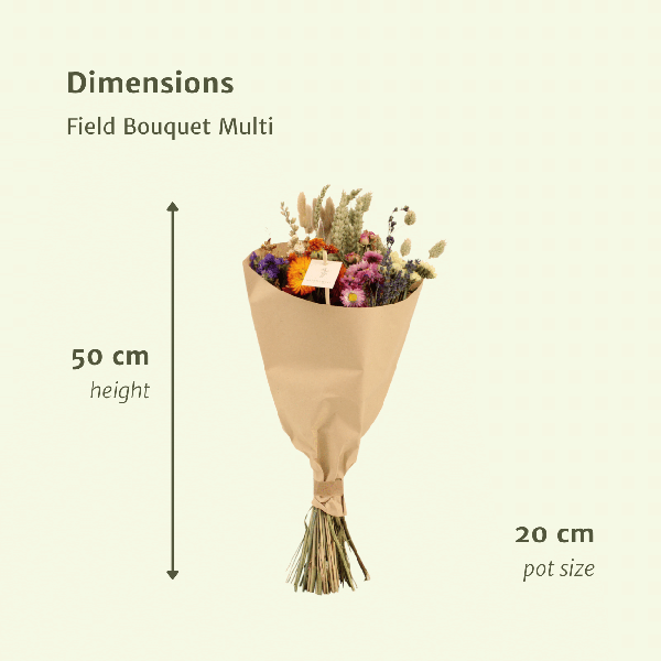 Trockenblumen - Feldblumenstrauß Multi - Blumenstrauß - Ø20cm - ↕50cm