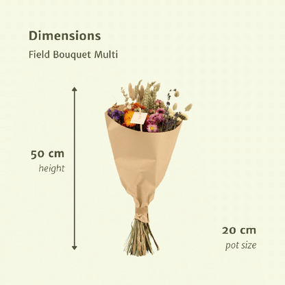 Trockenblumen - Feldblumenstrauß Multi - Blumenstrauß - Ø20cm - ↕50cm