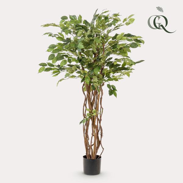 Ficus liana - Stiefmütterchenpflanze - Kunstpflanze - Zimmerpflanze - ↕140cm