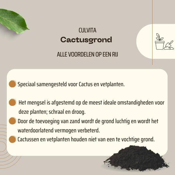 Kakteenerde 5 Liter - Blumenerde für Kakteen und Sukkelenten