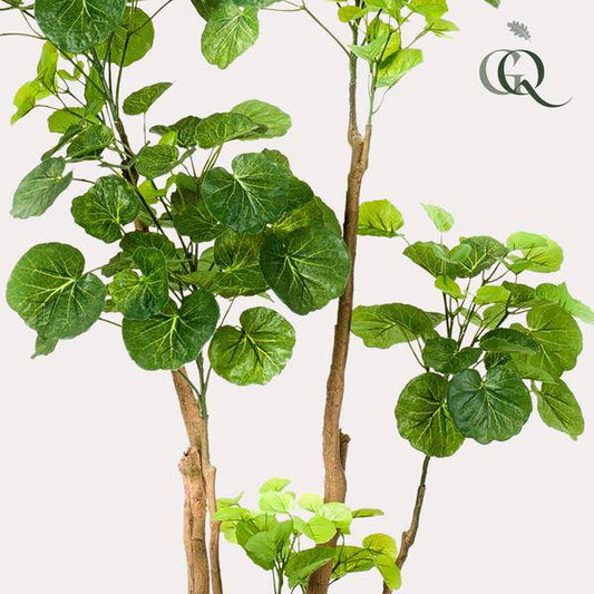 Kunstpflanze - Polyscias - Aralia - 135 cm