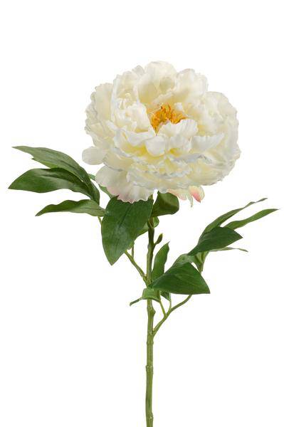 Künstliche Blumen - Blumenstrauß - Solo - Creme - Pfingstrosen - 65cm - 5 Stück