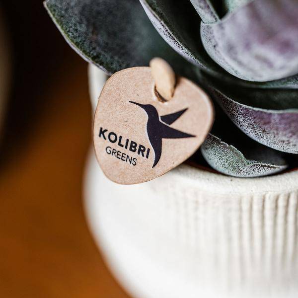 Bali Dekotopf - Off White - Ø6cm 