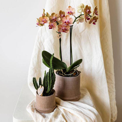 Bali Dekotopf - Sand - Ø6cm 