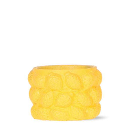 Citrus Topf gelb - Ø6cm