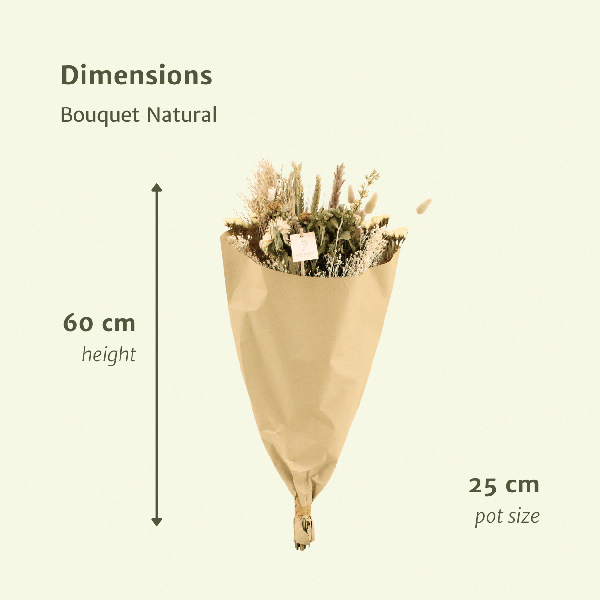 Trockenblumen Feldblumenstrauß Natürlich - Ø25cm - ↕60cm - Oasis of Life