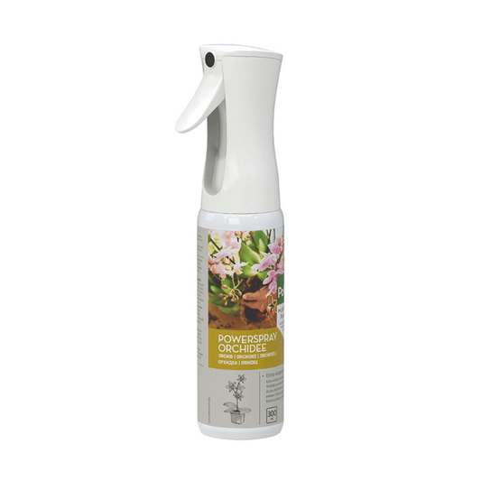 Pokon Powerspray Orchidee – Blattglanz-Spray – 300ml – Für gesunde, glänzende Orchideenblätter – Einfach anzuwenden – Für mehr Vitalität & Schutz 