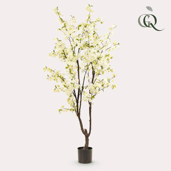 Prunus - Kirschblüte - Kunstpflanze - Weiß - ↕210cm