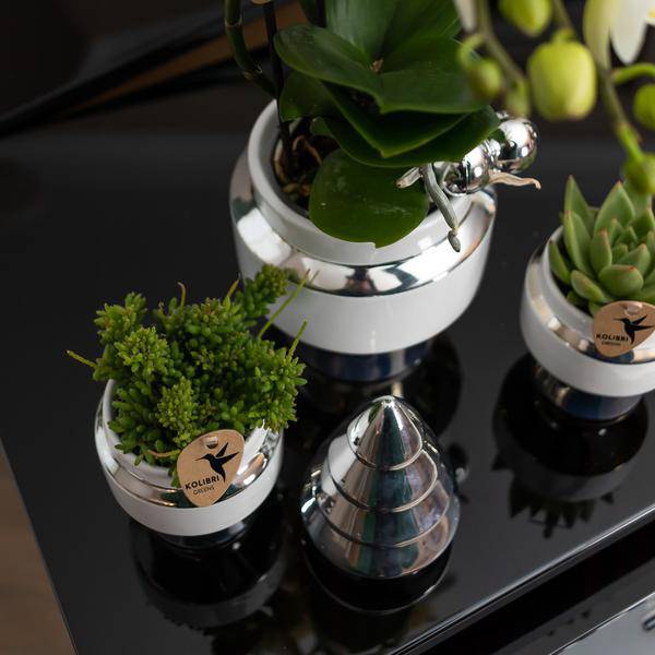 Le Chic Blumentopf - Weißer dekorativer Keramiktopf mit silbernen Details - Ø9cm - Oasis of Life