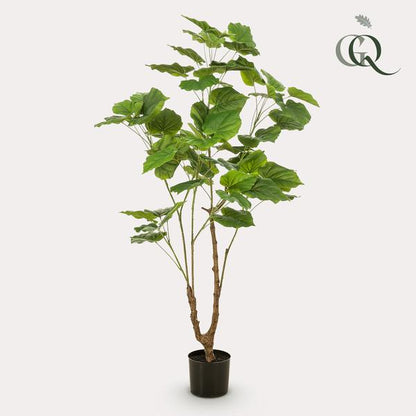 Ficus umbellate - Afrikanische Feige - Kunstpflanze - Zimmerpflanze - ↕125cm