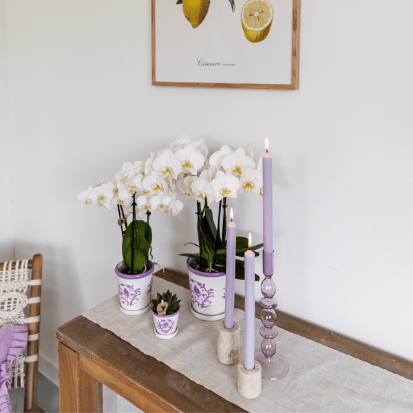 Malaga Topf - Flieder - Ø12cm 