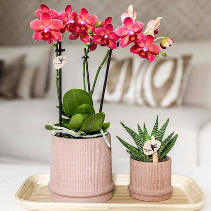 Bali Dekotopf - Sand - Ø6cm 