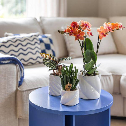 Candy Blumentopf Weiß Ø9cm – Dekorativer Keramiktopf in moderner runder Form – Pflanzentopf für Orchideen, Sukkulenten & Zimmerpflanzen – Stilvolle Blumendeko für Wohnzimmer, Küche & Büro 