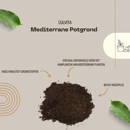 Mediterrane Blumenerde 40 Liter – Premium Erde für mediterrane Pflanzen – Mit RhizoPlus Mykorrhiza – Ideal für Olivenbäume, Zitruspflanzen & Palmen – Optimales Wassermanagement & Nährstoffversorgung 