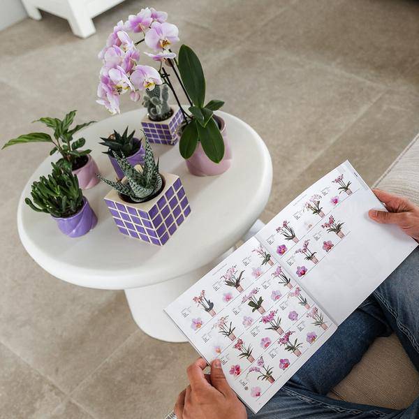 Candy Dekotopf - Flieder - Ø6cm 