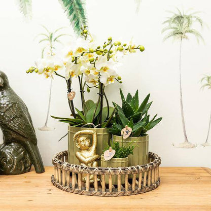 Ornament - Dekoskulptur Sitzender Affe - Gold - Oasis of Life