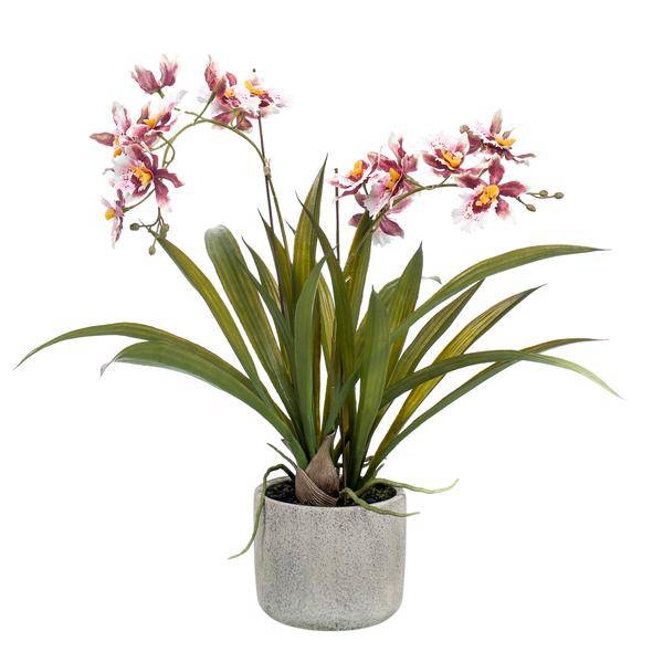 Künstliche Pflanze - Orchidee - Bordeaux - ↨45cm