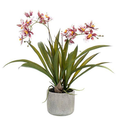 Künstliche Pflanze - Orchidee - Bordeaux - ↨45cm