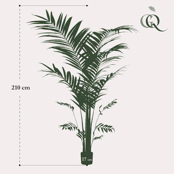 Kentia - Kentiapalme - Kunstpflanze - ↕210cm