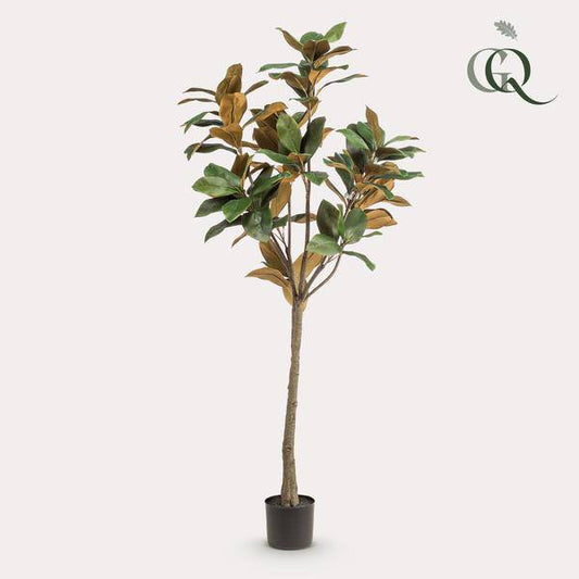 Kunstpflanze - Magnolia Grandiflora - 150 cm