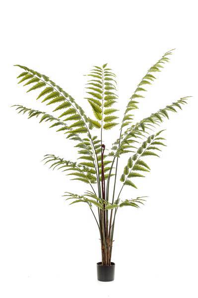Kunstpflanze - Rumohra Adiantiformis - Lederfarn - 180 cm 