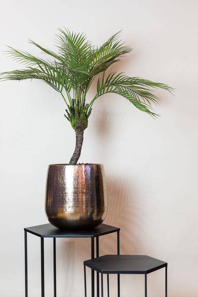 Kunstpflanze - Chamaedorea Elegans - Bergpalme - 85 cm