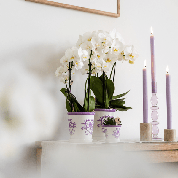 Malaga Topf - Flieder - Ø12cm 