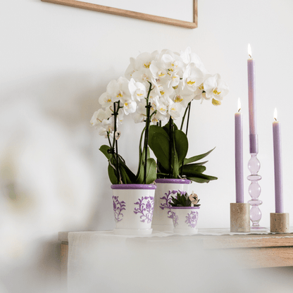 Malaga Topf - Flieder - Ø12cm 