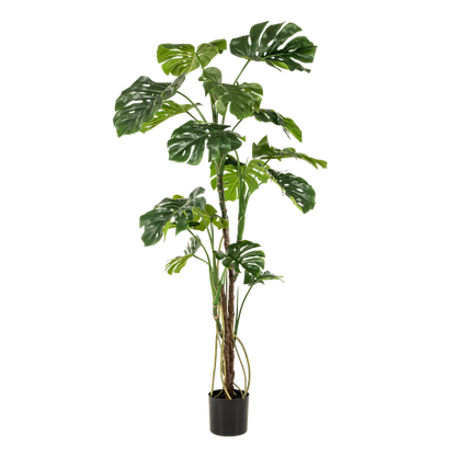 Monstera - Fensterblatt - Kunstpflanze - Zimmerpflanze - ↕180cm 