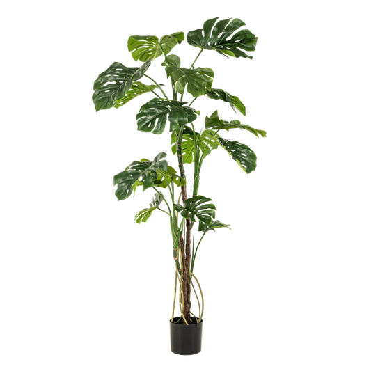 Monstera - Fensterblatt - Kunstpflanze - Zimmerpflanze - ↕180cm 
