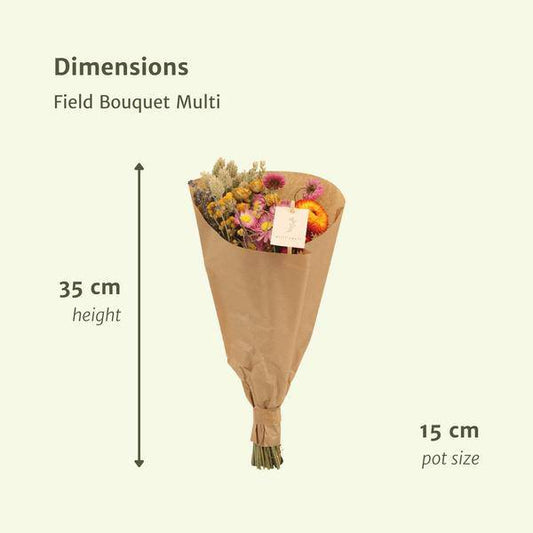 Trockenblumen - Blumenstrauß - Field Bouquet Multi - Trockener Blumenstrauß - 35cm - Ø15cm - 12 Stück
