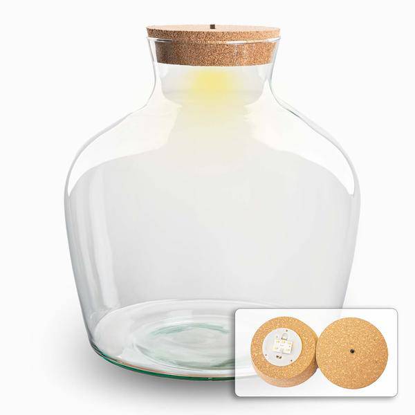 Terrarienflasche mit Kork - Fat Joe + geführter Kork - Geschlossenes Terrarium ↑ 30 cm - Oasis of Life