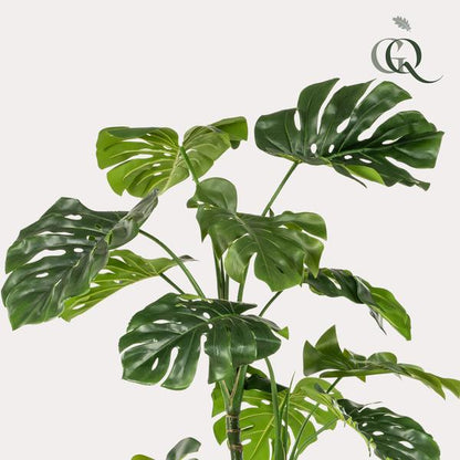 Monstera - Fensterblatt - Kunstpflanze - Zimmerpflanze - ↕180cm 