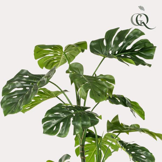 Monstera - Fensterblatt - Kunstpflanze - Zimmerpflanze - ↕180cm 
