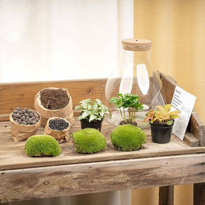 Flaschengarten - DIY - Sam mit LED - ↕ 30 cm